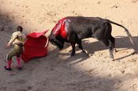 Bullfighting