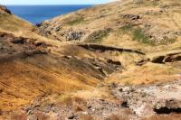 Madeira- landscape