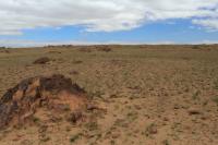 Gobi Desert