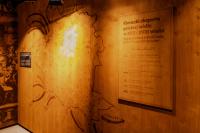 Polish Vodka Museum 