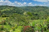 ECUADOR LANDSCAPE