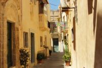 Malta-others
