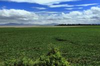 ETHIOPIA-landscape