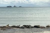 Heligoland