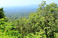 ETHIOPIA-landscape