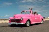 Cars from Cubans